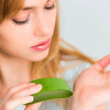 Benefits of Aloevera