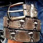 animal skin belt