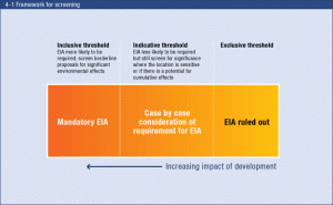 Screening Process