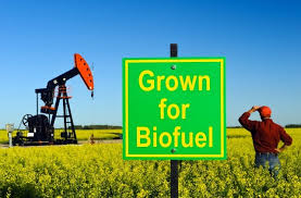 Conventional Biofuels