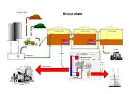 Biogas Production Plant
