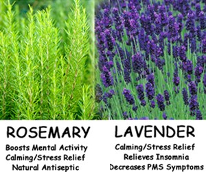 Uses of Essential Oils
