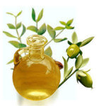 remedy for winter skin