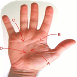 Palmistry Guide